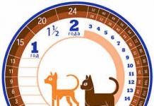 Сколько лет в среднем живут кошки и коты британские, персидские, сиамские, лысые сфинксы, шотландские вислоухие, бенгальские, тайские, сибирские в домашних условиях?