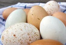 Учимся проверять яйца на свежесть: самые эффективные методы